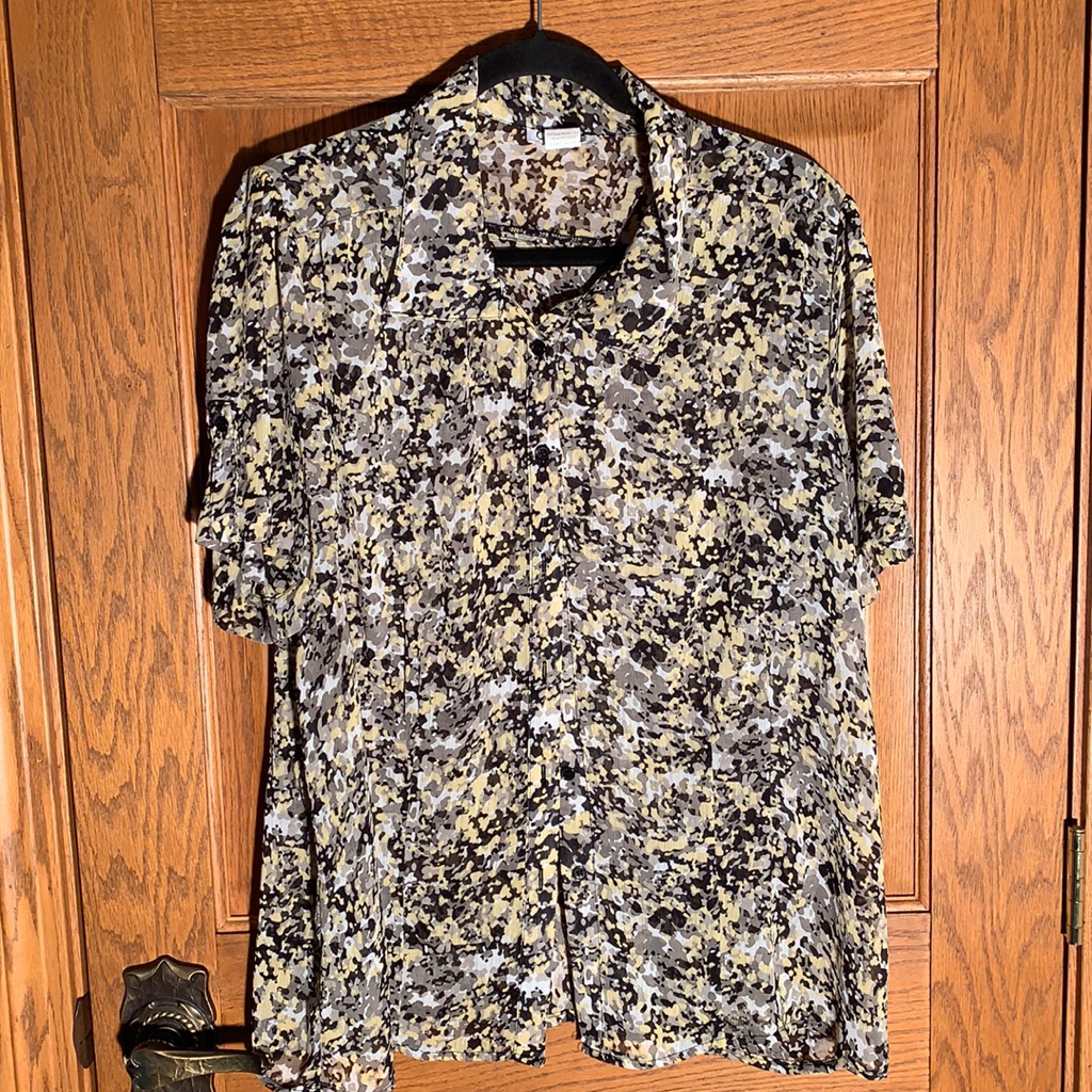 Button Front Sheer Blouse